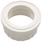 Sta-Rite Duetta Valve Union Adapter (U11-199P)