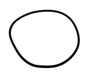 Sta-Rite Dyna-Pro Pump Seal Plate Cord Ring (U9-373) Overstock+
