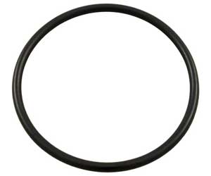 18a - Hayward Micro-clear Permaglass O-Ring (1995 & Prior) (SX200Z3)