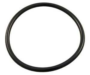 Hayward Super Star Clear SS O-Ring (SX200Z4)