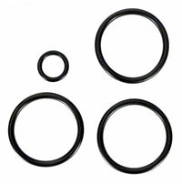 Anthony 1.5 in Slide Valve Piston Oring Kit (4 pieces) (V34-115)