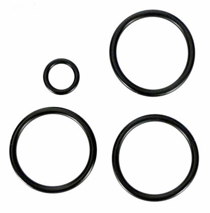 Anthony 1.5 in Slide Valve Piston Oring Kit (4 pieces) (V34-115)