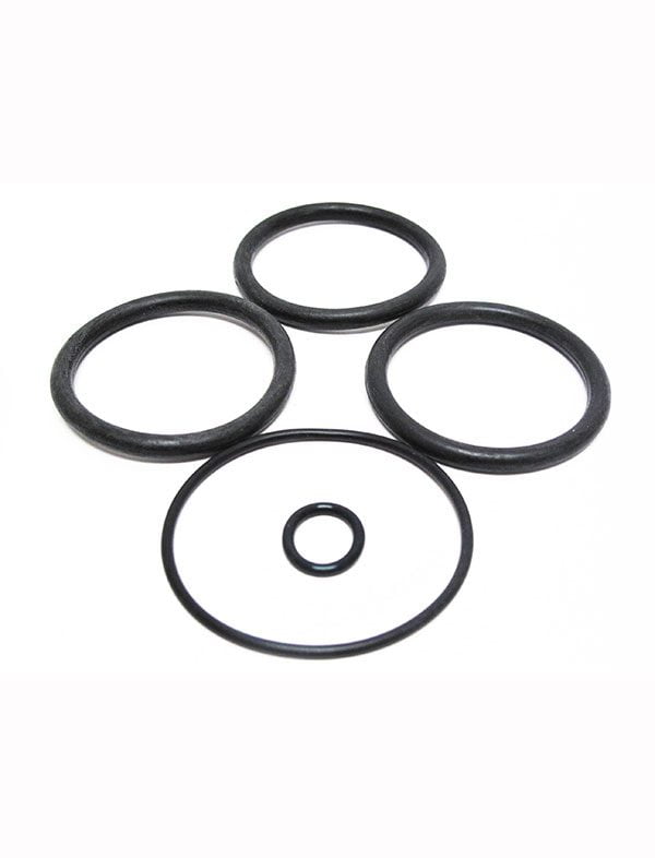 Anthony 2 in Plastic Slide Valve Oring Kit (4 pieces) (V34-141)