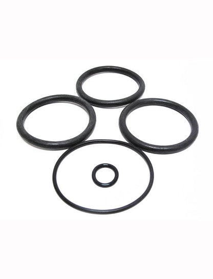 Anthony 2 in Plastic Slide Valve Oring Kit (4 pieces) (V34-141)