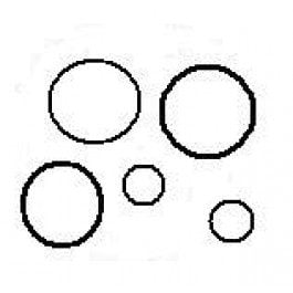 Backwash Valve Parts for Swimrite 1.5 in Piston Oring Set (5 pieces) (V30-422)