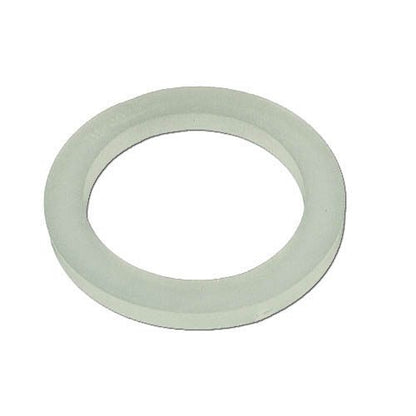 WaterWay Flat Gasket 2 in. (711-4020)
