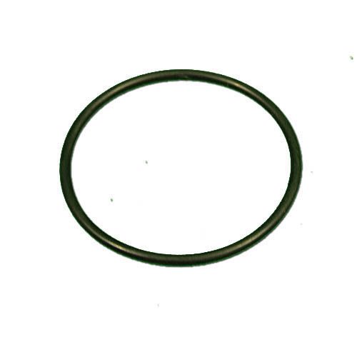 WaterWay Union O-ring for 2 in. and 2.5 Inch Unions (805-0232)