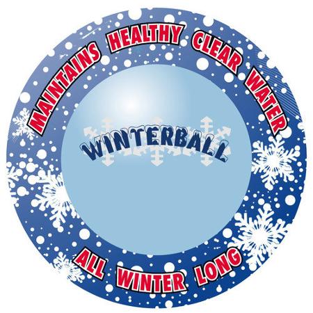 SmartPool WinterPill #71 Pool Winterizer in a Pill (AP71)