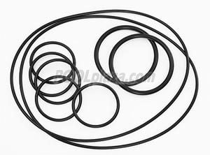 Polaris® Caretaker Black Water Valve Oring Kit (5-13-1)