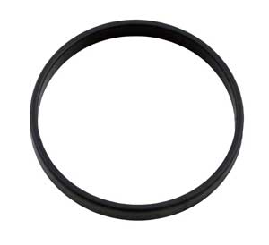 Zodiac® Ranger 202001 Retaining Ring, Diaphragm (W81600)