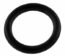 Pentair Diverter O-ring (272406)