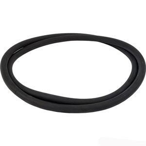 15-Pentair (PacFab) FNS Plus Tank O-Ring (39010200) Overstock+