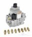 Hayward FD Heater Gas Conversion Kit, LP to NA (FDXLCNK0002)