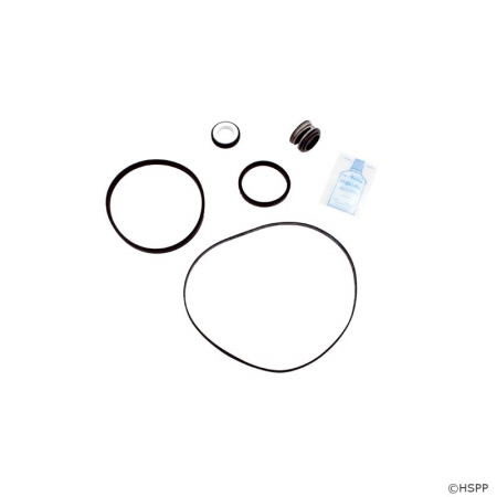16 - Generic Pentair/Purex C-Series Pump Seal/O-ring/Gasket Kit (GO-KIT31) (GOKIT31) use (APCKIT31)
