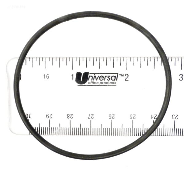 31 - American Titan SS Filter, Drain Plug O-Ring (85005700)