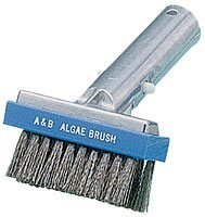 A&B Brush, 3.5 in. Metallic, Back Algae Stainless Steel (2005)
