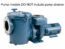 Sta-Rite CCSP (Commercial) 20 HP Pump, 3 Phase 230/460v, w/o Trap (CCSPHN3-145)