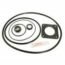 Pentair Ultra-Flow & Bronze Pump Seal Kit (GO-KIT20) use (APCK1014)