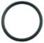 08 - Hayward EcoStar Diffuser O-ring (SPX4000Z1)