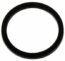 Jandy® Space Saver Diverter Seal Ring (3457)