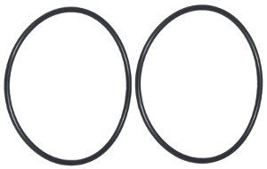17 - Jandy® FHPM FloPro & VS FloPro Pump Tailpiece O-ring (2 Pack) (R0337601)