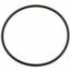 Jandy® Energy Filter O-Ring (R0374500)
