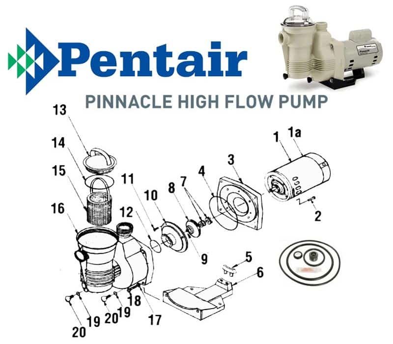 Pentair Pinnacle Pump Parts