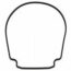 23 - Pentair IntelliFlo&reg; Black Gasket for Seal Plate (357100)