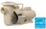 Pentair WhisperFloXF Pump, XFDS-30, 2-Speed, 2.5 HP, 208-230v (022026)