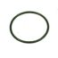 WaterWay Union O-ring for 2 in. and 2.5 Inch Unions (805-0232)