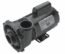 Waterway Executive Spa Pump, 56 Frame, 2 HP, 230v, Single Speed, 2 in. In/2 In. Out (3710821-1D)